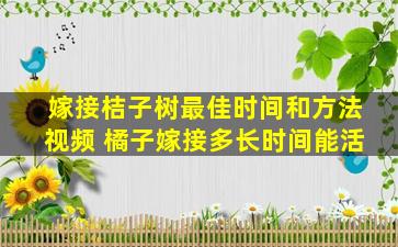 嫁接桔子树最佳时间和方法视频 橘子嫁接多长时间能活